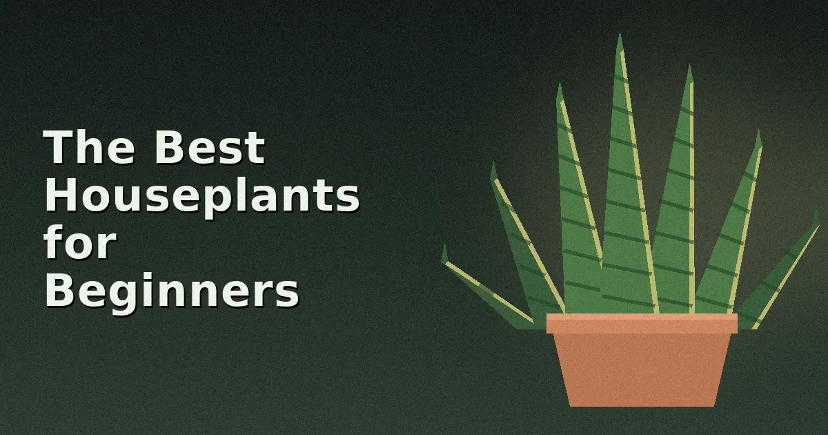 The Best Houseplants for Beginners (Hard to Kill)
