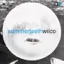 Wilco — Summerteeth (1999)