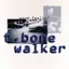 T-Bone Walker — Good Feelin' (1969)