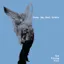 Sunny Day Real Estate — The Rising Tide (2000)