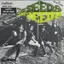The Seeds — The Seeds (1966)