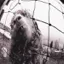 Pearl Jam — Vs. (1993)