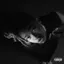 Little Simz — GREY Area (2019)