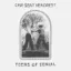 Car Seat Headrest — Teens of Denial (2016)