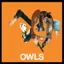 OWLS — Owls (2001)