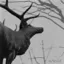 Agalloch — The Mantle (2002)