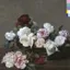 New Order — Power, Corruption & Lies (1983)