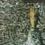 Siouxsie and the Banshees — Juju (1981)