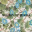 Mission of Burma — Vs. (1982)