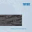 Tortoise — Millions Now Living Will Never Die (1996)