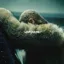 Beyoncé — Lemonade (2016)