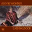 Stevie Wonder — Talking Book (1972)