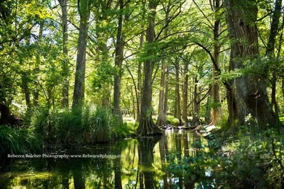 Wimberley