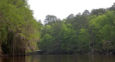Caddo Lake
