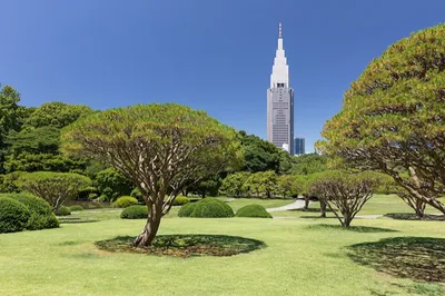 Shinjuku Gyo-en
