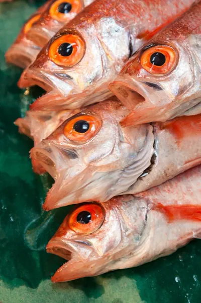 Tsukiji fish market