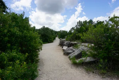 Mount Bonnell