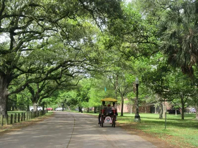 City Park, New Orleans
