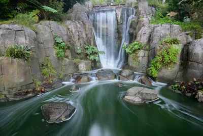 Golden Gate Park