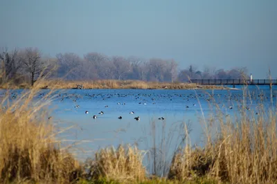 Belle Isle Park