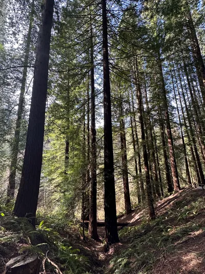 Washington Park, Portland