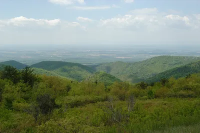 Shenandoah National Park