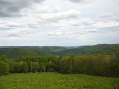 Berkshires