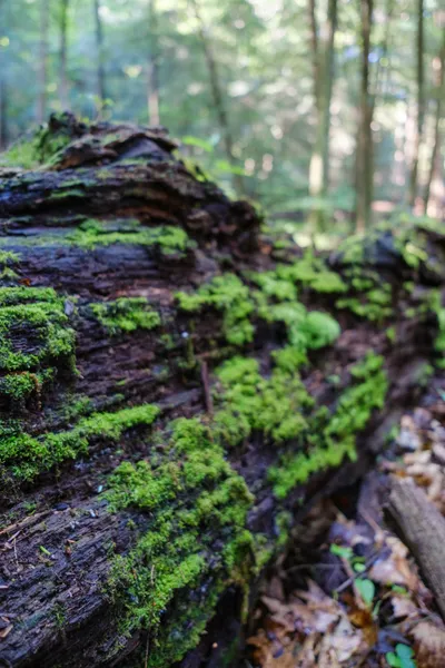 Hocking Hills