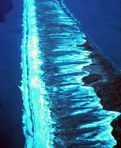 Dauphin Island, Alabama