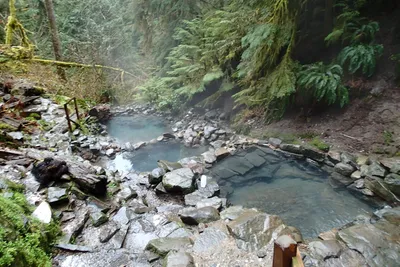 Terwilliger Hot Springs