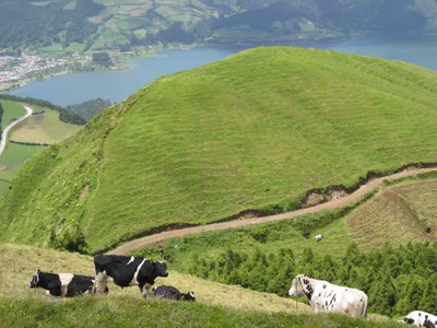 São Miguel