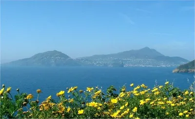 Ischia