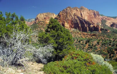 Zion National Park