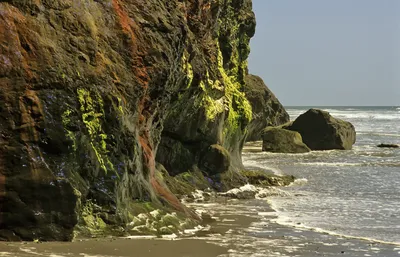 Olympic National Park