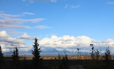Wrangell–St. Elias National Park and Preserve