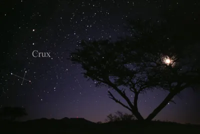 Crux