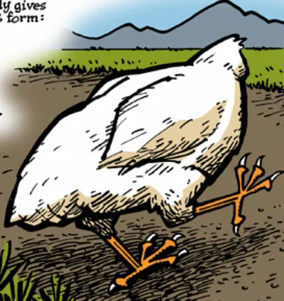 Mike the Headless Chicken