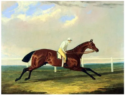 Tarrare
