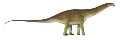 Brontosaurus