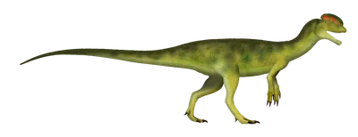 Dilophosaurus