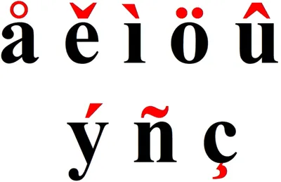 Times New Roman