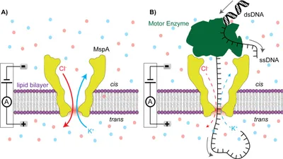 Nanopore sequencing