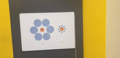 Ebbinghaus illusion