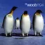 Woob — Woob 1194 (1994)