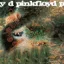 Pink Floyd — A Saucerful of Secrets (1968)