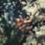 Pink Floyd — Obscured by Clouds (1972)