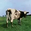 Pink Floyd — Atom Heart Mother (1970)